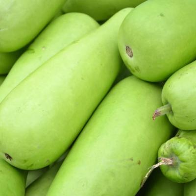 Lauki (Bottle Gourd)