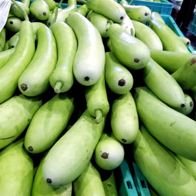 Lauki (Bottle Gourd)