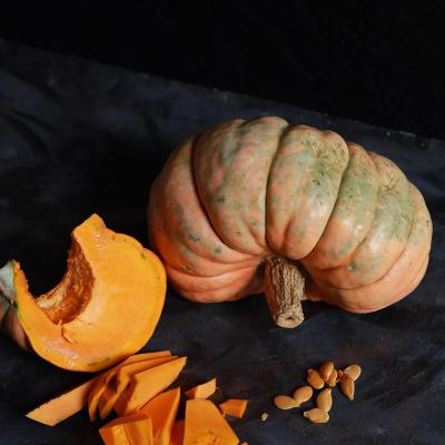 Pumpkin